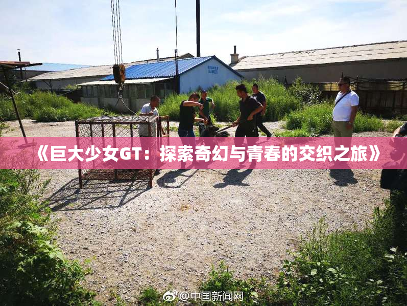 《巨大少女GT：探索奇幻与青春的交织之旅》