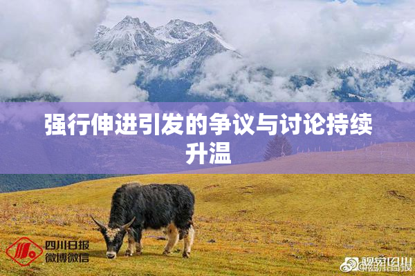 强行伸进引发的争议与讨论持续升温