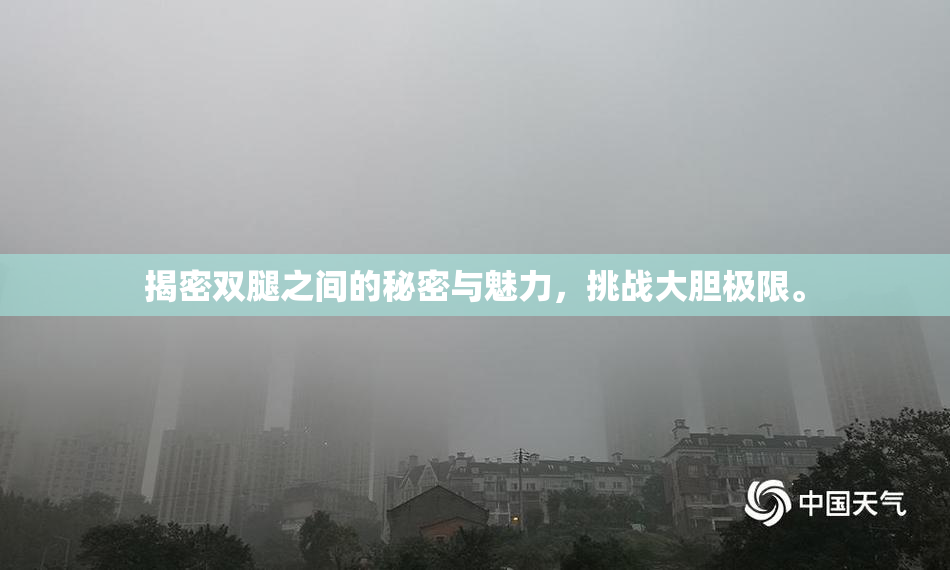 揭密双腿之间的秘密与魅力，挑战大胆极限。