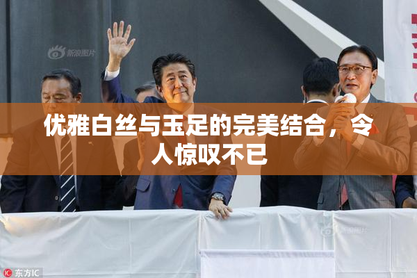 优雅白丝与玉足的完美结合，令人惊叹不已