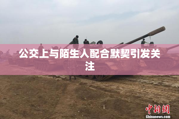 公交上与陌生人配合默契引发关注