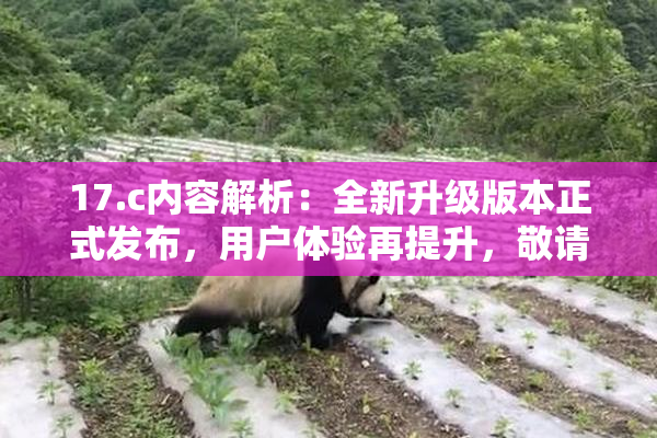 17.c内容解析：全新升级版本正式发布，用户体验再提升，敬请期待！