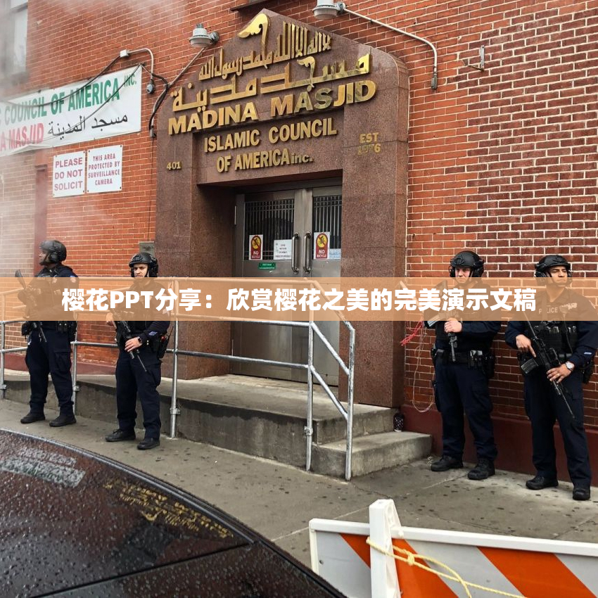 樱花PPT分享：欣赏樱花之美的完美演示文稿