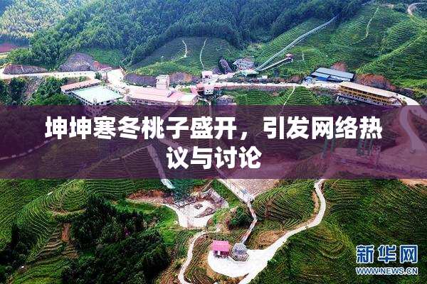 坤坤寒冬桃子盛开，引发网络热议与讨论