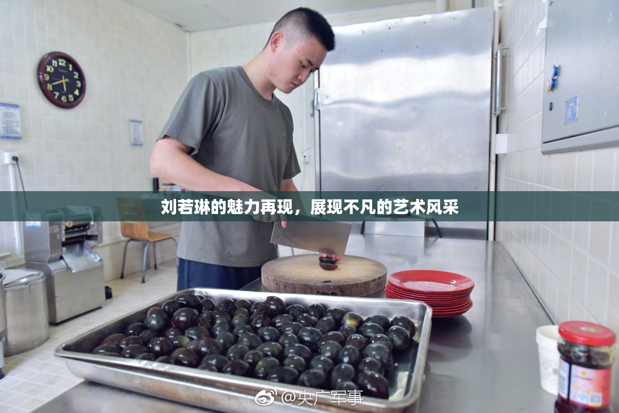 刘若琳的魅力再现，展现不凡的艺术风采