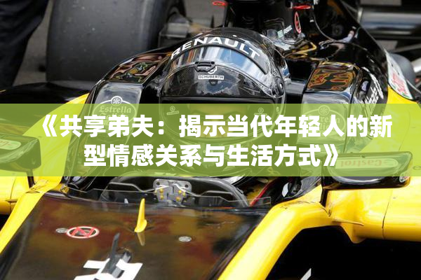 《共享弟夫：揭示当代年轻人的新型情感关系与生活方式》