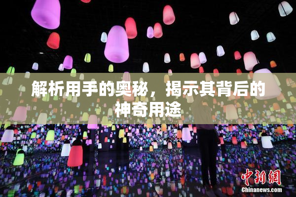 解析用手的奥秘，揭示其背后的神奇用途