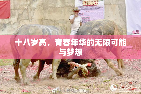 十八岁高，青春年华的无限可能与梦想