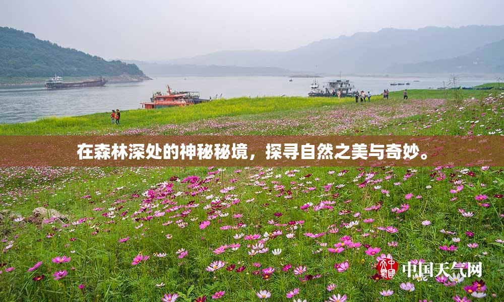 在森林深处的神秘秘境，探寻自然之美与奇妙。