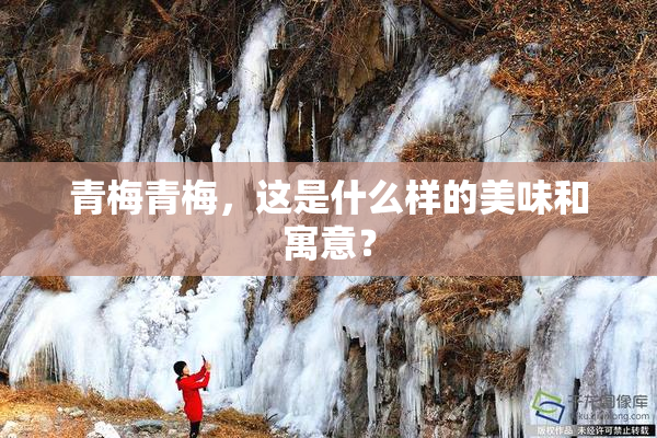 青梅青梅，这是什么样的美味和寓意？