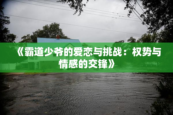 《霸道少爷的爱恋与挑战：权势与情感的交锋》