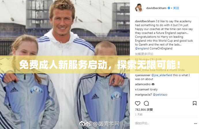 免费成人新服务启动，探索无限可能！
