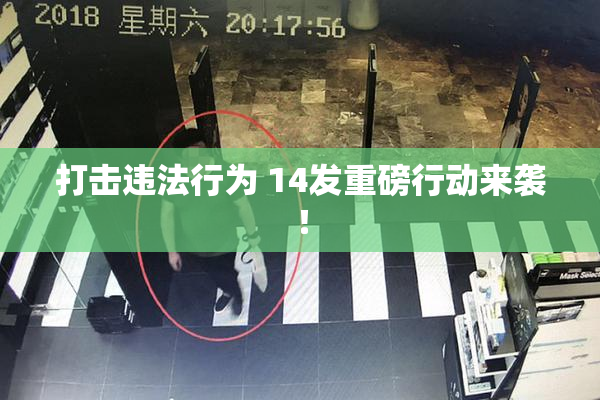 打击违法行为 14发重磅行动来袭！