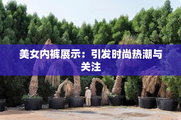 美女内裤展示：引发时尚热潮与关注