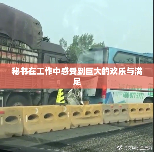 秘书在工作中感受到巨大的欢乐与满足