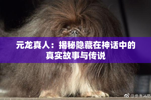 元龙真人：揭秘隐藏在神话中的真实故事与传说