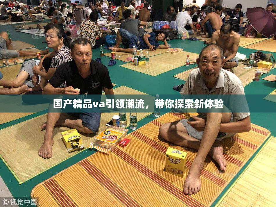 国产精品va引领潮流，带你探索新体验