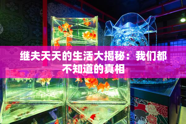 继夫天天的生活大揭秘：我们都不知道的真相