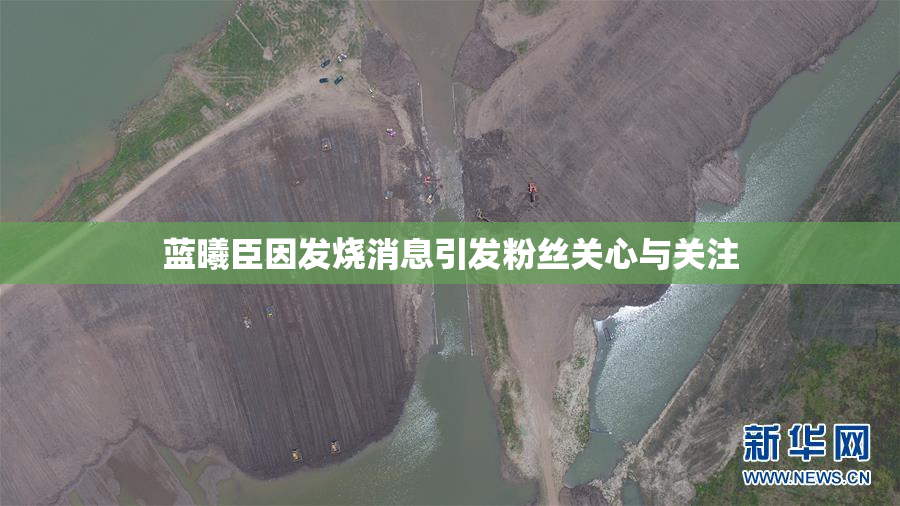 蓝曦臣因发烧消息引发粉丝关心与关注