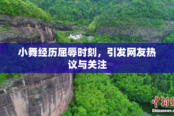 小舞经历屈辱时刻，引发网友热议与关注