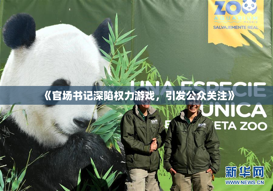《官场书记深陷权力游戏，引发公众关注》
