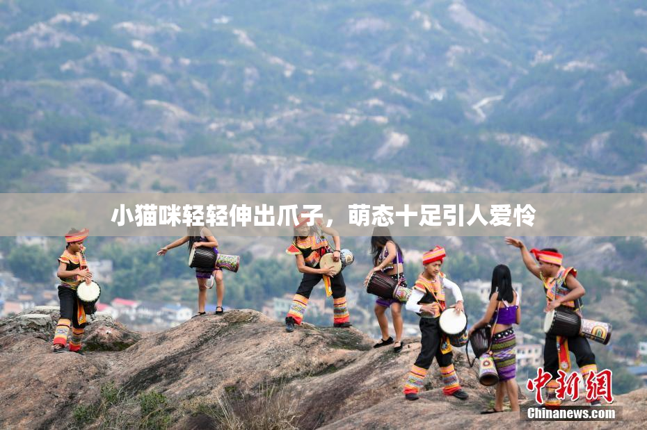 小猫咪轻轻伸出爪子，萌态十足引人爱怜