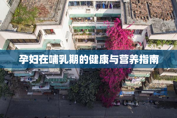 孕妇在哺乳期的健康与营养指南