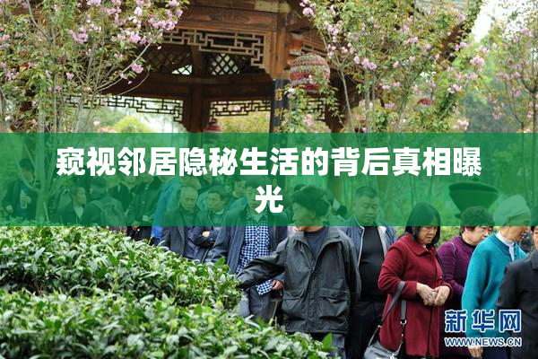 窥视邻居隐秘生活的背后真相曝光
