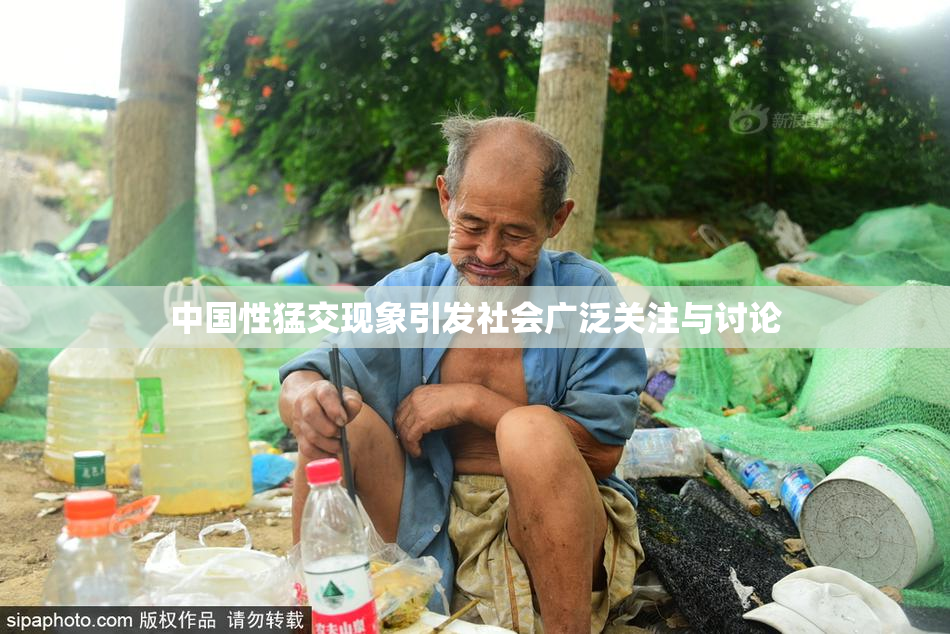 中国性猛交现象引发社会广泛关注与讨论