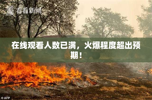 在线观看人数已满，火爆程度超出预期！