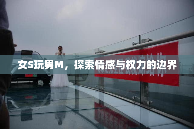 女S玩男M，探索情感与权力的边界