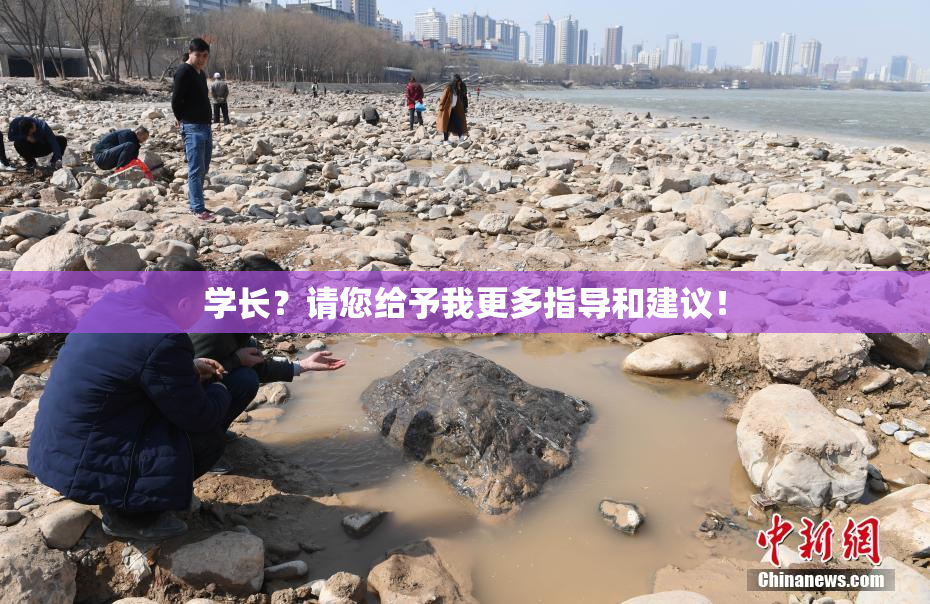学长？请您给予我更多指导和建议！