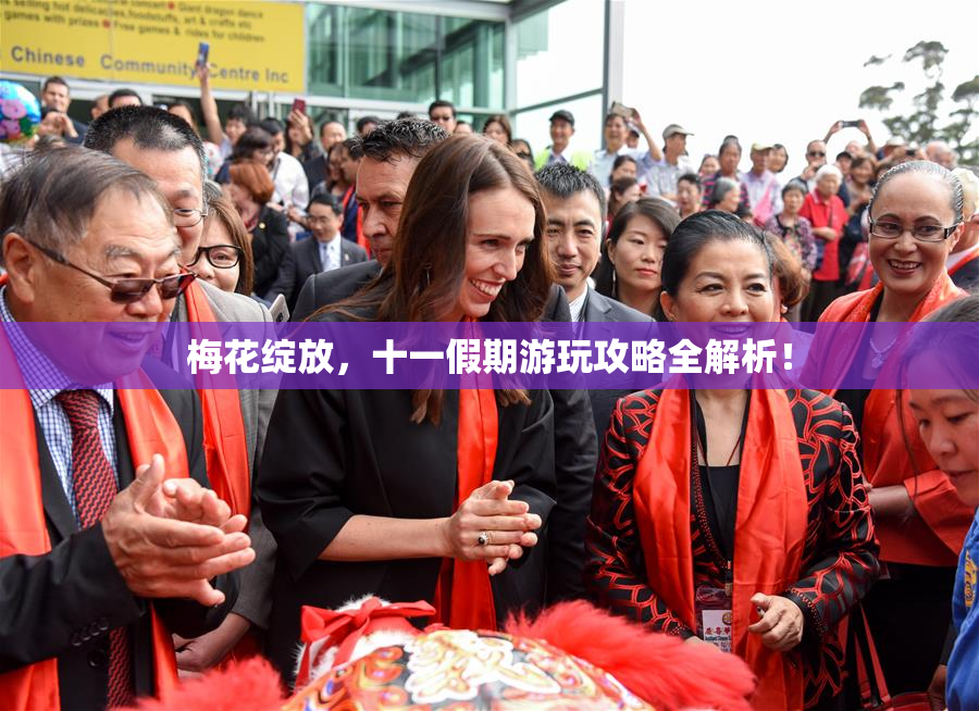 梅花绽放，十一假期游玩攻略全解析！