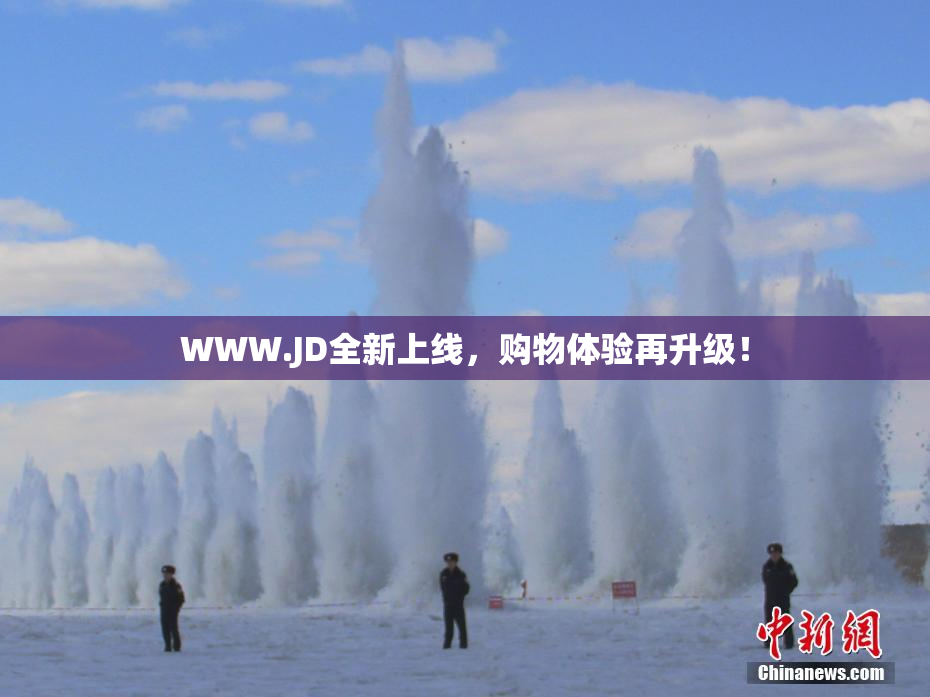 WWW.JD全新上线，购物体验再升级！