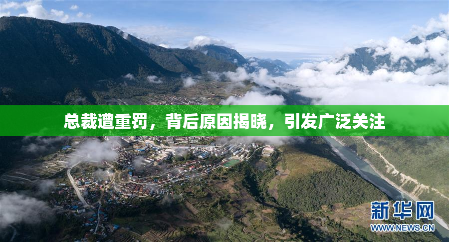 总裁遭重罚，背后原因揭晓，引发广泛关注