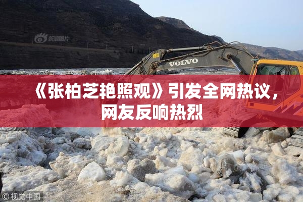 《张柏芝艳照观》引发全网热议，网友反响热烈