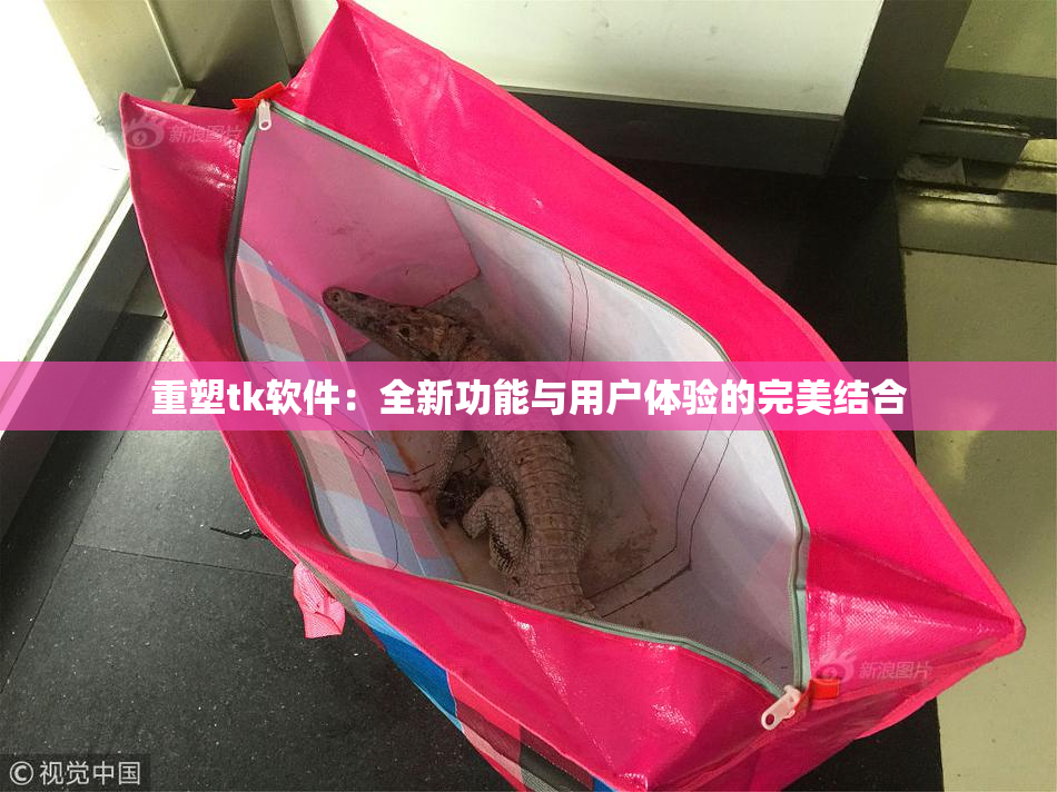 重塑tk软件：全新功能与用户体验的完美结合