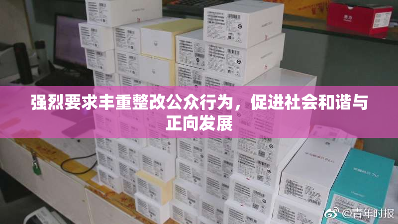 强烈要求丰重整改公众行为，促进社会和谐与正向发展