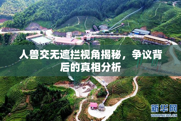 人兽交无遮拦视角揭秘，争议背后的真相分析