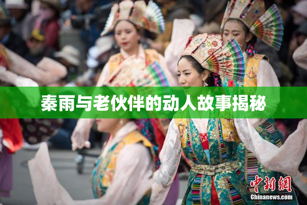 秦雨与老伙伴的动人故事揭秘