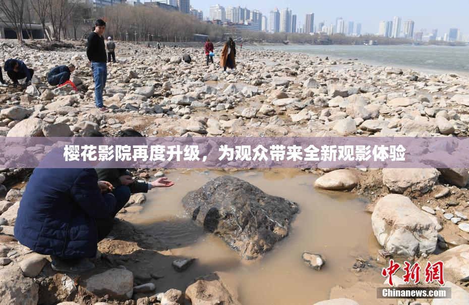 樱花影院再度升级，为观众带来全新观影体验