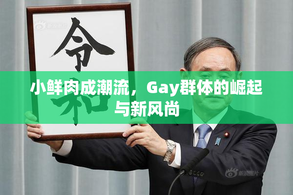 小鲜肉成潮流，Gay群体的崛起与新风尚