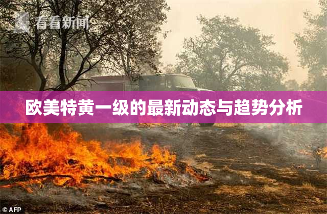 欧美特黄一级的最新动态与趋势分析