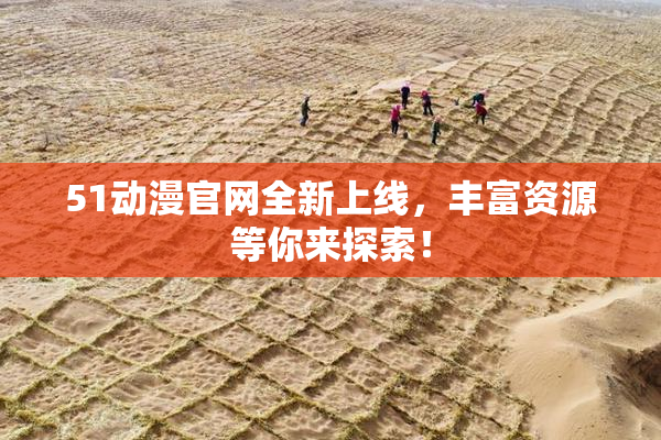 51动漫官网全新上线，丰富资源等你来探索！
