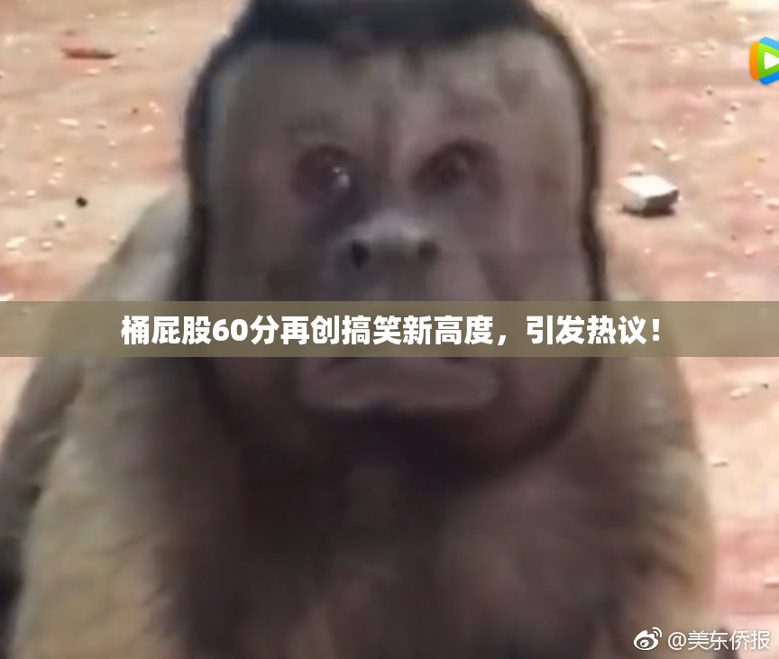 桶屁股60分再创搞笑新高度，引发热议！