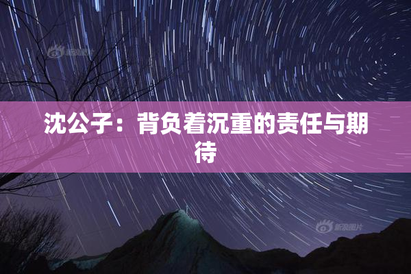 沈公子：背负着沉重的责任与期待