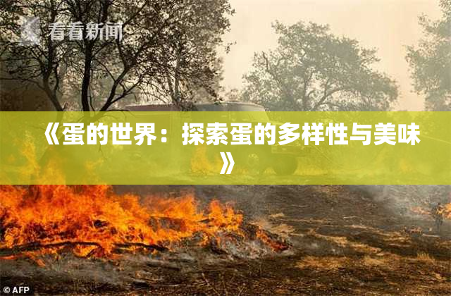 《蛋的世界：探索蛋的多样性与美味》