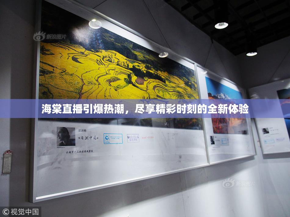 海棠直播引爆热潮，尽享精彩时刻的全新体验