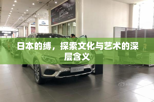 日本的缚，探索文化与艺术的深层含义