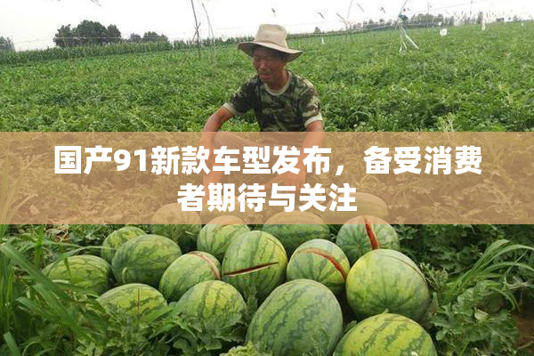 国产91新款车型发布，备受消费者期待与关注